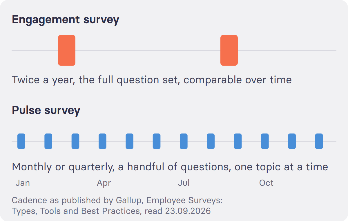Across twelve months, a best-practice engagement programme runs two long surveys, one in the first half of the year and one in the second. Pulse surveys run monthly or quarterly in between, each of them short and about one topic. The two lines answer different questions and do not replace each other.